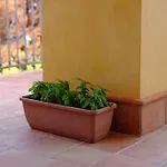 Settefrati Villa *