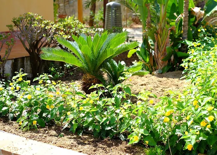 Settefrati 别墅 切法卢