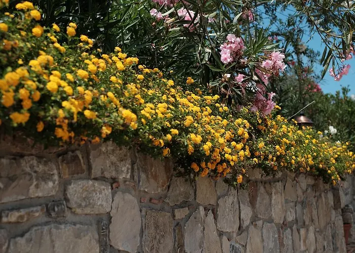 Settefrati 切法卢