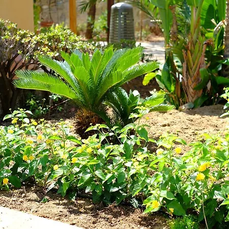 Settefrati Vila Cefalù