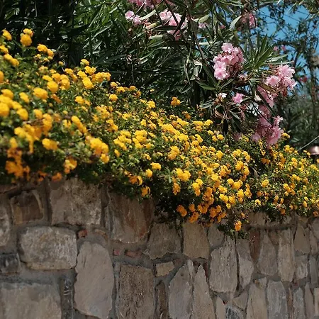 Settefrati Cefalu
